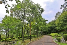 별별여행 > 송현근린공원 | 별별시장&별별여행 ┃ 여행문화의 새로운 트렌드를 만들다 별별여행 > 송현근린공원