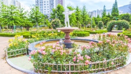 별별여행 > 장미공원 | 별별시장&별별여행 ┃ 여행문화의 새로운 트렌드를 만들다 별별여행 > 장미공원