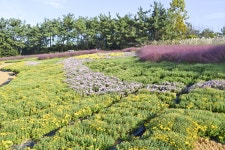 별별여행 > 익산중앙체육공원 | 별별시장&별별여행 ┃ 여행문화의 새로운 트렌드를 만들다 별별여행 > 익산중앙체육공원