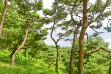 별별여행 > 한얼공원 | 별별시장&별별여행 ┃ 여행문화의 새로운 트렌드를 만들다 별별여행 > 한얼공원