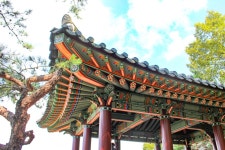 별별여행 > 임경대 | 별별시장&별별여행 ┃ 여행문화의 새로운 트렌드를 만들다 별별여행 > 임경대