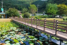 별별여행 > 상리연꽃공원 | 별별시장&별별여행 ┃ 여행문화의 새로운 트렌드를 만들다 별별여행 > 상리연꽃공원