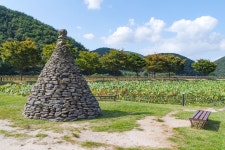 별별여행 > 상리연꽃공원 | 별별시장&별별여행 ┃ 여행문화의 새로운 트렌드를 만들다 별별여행 > 상리연꽃공원