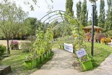 별별여행 > 강동구도시농업공원 | 별별시장&별별여행 ┃ 여행문화의 새로운 트렌드를 만들다 별별여행 > 강동구도시농업공원