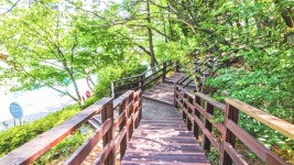 별별여행 > 용지공원 | 별별시장&별별여행 ┃ 여행문화의 새로운 트렌드를 만들다 별별여행 > 용지공원