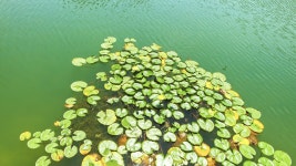 별별여행 > 용지공원 | 별별시장&별별여행 ┃ 여행문화의 새로운 트렌드를 만들다 별별여행 > 용지공원