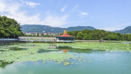 별별여행 > 용지공원 | 별별시장&별별여행 ┃ 여행문화의 새로운 트렌드를 만들다 별별여행 > 용지공원