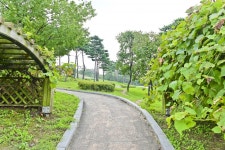 별별여행 > 화서공원 | 별별시장&별별여행 ┃ 여행문화의 새로운 트렌드를 만들다 별별여행 > 화서공원