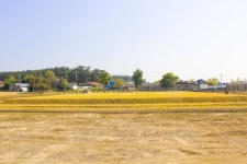 별별여행 > 익산제석사지 | 별별시장&별별여행 ┃ 여행문화의 새로운 트렌드를 만들다 별별여행 > 익산제석사지