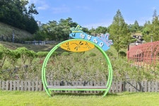 별별여행 > 운정호수공원 | 별별시장&별별여행 ┃ 여행문화의 새로운 트렌드를 만들다 별별여행 > 운정호수공원