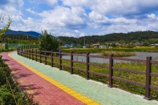 별별여행 > 수남유수지생태공원 | 별별시장&별별여행 ┃ 여행문화의 새로운 트렌드를 만들다 별별여행 > 수남유수지생태공원