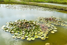 별별여행 > 수남유수지생태공원 | 별별시장&별별여행 ┃ 여행문화의 새로운 트렌드를 만들다 별별여행 > 수남유수지생태공원