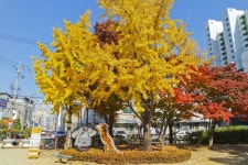 별별여행 > 선사유적공원 | 별별시장&별별여행 ┃ 여행문화의 새로운 트렌드를 만들다 별별여행 > 선사유적공원