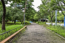 별별여행 > 서울숲 | 별별시장&별별여행 ┃ 여행문화의 새로운 트렌드를 만들다 별별여행 > 서울숲