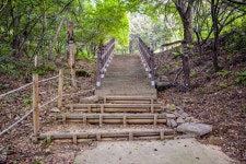 별별여행 > 구룡산장승공원 | 별별시장&별별여행 ┃ 여행문화의 새로운 트렌드를 만들다 별별여행 > 구룡산장승공원