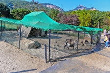 별별여행 > 산들소리수목원 | 별별시장&별별여행 ┃ 여행문화의 새로운 트렌드를 만들다 별별여행 > 산들소리수목원