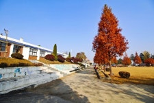 별별여행 > 웃다리문화촌 | 별별시장&별별여행 ┃ 여행문화의 새로운 트렌드를 만들다 별별여행 > 웃다리문화촌