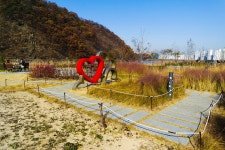 별별여행 > 월광수변공원 | 별별시장&별별여행 ┃ 여행문화의 새로운 트렌드를 만들다 별별여행 > 월광수변공원