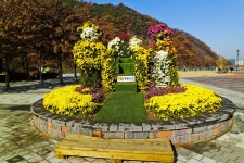 별별여행 > 월광수변공원 | 별별시장&별별여행 ┃ 여행문화의 새로운 트렌드를 만들다 별별여행 > 월광수변공원