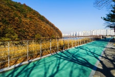 별별여행 > 월광수변공원 | 별별시장&별별여행 ┃ 여행문화의 새로운 트렌드를 만들다 별별여행 > 월광수변공원