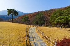 별별여행 > 월광수변공원 | 별별시장&별별여행 ┃ 여행문화의 새로운 트렌드를 만들다 별별여행 > 월광수변공원