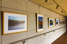 별별여행 > 태화루 | 별별시장&별별여행 ┃ 여행문화의 새로운 트렌드를 만들다 별별여행 > 태화루