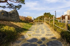 별별여행 > 태화루 | 별별시장&별별여행 ┃ 여행문화의 새로운 트렌드를 만들다 별별여행 > 태화루