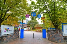 별별여행 > 로보카폴리어린이교통공원 | 별별시장&별별여행 ┃ 여행문화의 새로운 트렌드를 만들다 별별여행 > 로보카폴리어린이교통공원