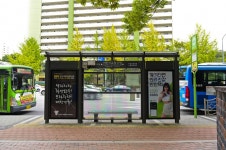 별별여행 > 로보카폴리어린이교통공원 | 별별시장&별별여행 ┃ 여행문화의 새로운 트렌드를 만들다 별별여행 > 로보카폴리어린이교통공원