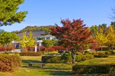 별별여행 > 갑곶돈대 | 별별시장&별별여행 ┃ 여행문화의 새로운 트렌드를 만들다 별별여행 > 갑곶돈대