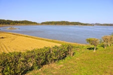 별별여행 > 강화덕진진 | 별별시장&별별여행 ┃ 여행문화의 새로운 트렌드를 만들다 별별여행 > 강화덕진진