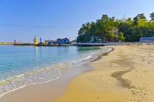 별별여행 > 장호해수욕장 | 별별시장&별별여행 ┃ 여행문화의 새로운 트렌드를 만들다 별별여행 > 장호해수욕장