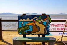 별별여행 > 동막해변 | 별별시장&별별여행 ┃ 여행문화의 새로운 트렌드를 만들다 별별여행 > 동막해변
