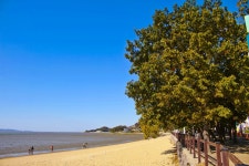 별별여행 > 동막해변 | 별별시장&별별여행 ┃ 여행문화의 새로운 트렌드를 만들다 별별여행 > 동막해변