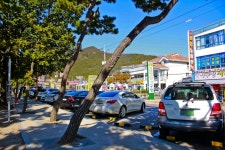 별별여행 > 동막해변 | 별별시장&별별여행 ┃ 여행문화의 새로운 트렌드를 만들다 별별여행 > 동막해변