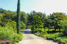 별별여행 > 신죽리수목원 | 별별시장&별별여행 ┃ 여행문화의 새로운 트렌드를 만들다 별별여행 > 신죽리수목원