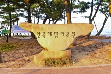 별별여행 > 안목해변 | 별별시장&별별여행 ┃ 여행문화의 새로운 트렌드를 만들다 별별여행 > 안목해변