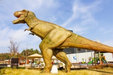 별별여행 > 공룡발자국공원 | 별별시장&별별여행 ┃ 여행문화의 새로운 트렌드를 만들다 별별여행 > 공룡발자국공원