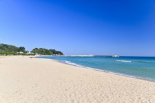 별별여행 > 죽도해수욕장 | 별별시장&별별여행 ┃ 여행문화의 새로운 트렌드를 만들다 별별여행 > 죽도해수욕장