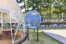 별별여행 > 죽도해수욕장 | 별별시장&별별여행 ┃ 여행문화의 새로운 트렌드를 만들다 별별여행 > 죽도해수욕장