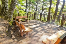 별별여행 > 죽도해수욕장 | 별별시장&별별여행 ┃ 여행문화의 새로운 트렌드를 만들다 별별여행 > 죽도해수욕장