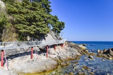 별별여행 > 죽도해수욕장 | 별별시장&별별여행 ┃ 여행문화의 새로운 트렌드를 만들다 별별여행 > 죽도해수욕장