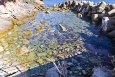 별별여행 > 죽도해수욕장 | 별별시장&별별여행 ┃ 여행문화의 새로운 트렌드를 만들다 별별여행 > 죽도해수욕장