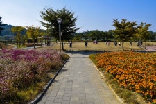 별별여행 > 서동농촌테마공원 | 별별시장&별별여행 ┃ 여행문화의 새로운 트렌드를 만들다 별별여행 > 서동농촌테마공원