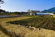 별별여행 > 서동농촌테마공원 | 별별시장&별별여행 ┃ 여행문화의 새로운 트렌드를 만들다 별별여행 > 서동농촌테마공원