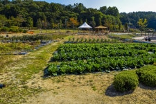 별별여행 > 서동농촌테마공원 | 별별시장&별별여행 ┃ 여행문화의 새로운 트렌드를 만들다 별별여행 > 서동농촌테마공원
