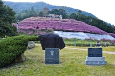 별별여행 > 아양사랑숲 | 별별시장&별별여행 ┃ 여행문화의 새로운 트렌드를 만들다 별별여행 > 아양사랑숲