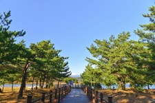 별별여행 > 송지호관망타워 | 별별시장&별별여행 ┃ 여행문화의 새로운 트렌드를 만들다 별별여행 > 송지호관망타워