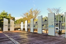 별별여행 > 송지호관망타워 | 별별시장&별별여행 ┃ 여행문화의 새로운 트렌드를 만들다 별별여행 > 송지호관망타워