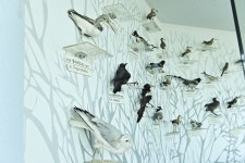 별별여행 > 송지호관망타워 | 별별시장&별별여행 ┃ 여행문화의 새로운 트렌드를 만들다 별별여행 > 송지호관망타워